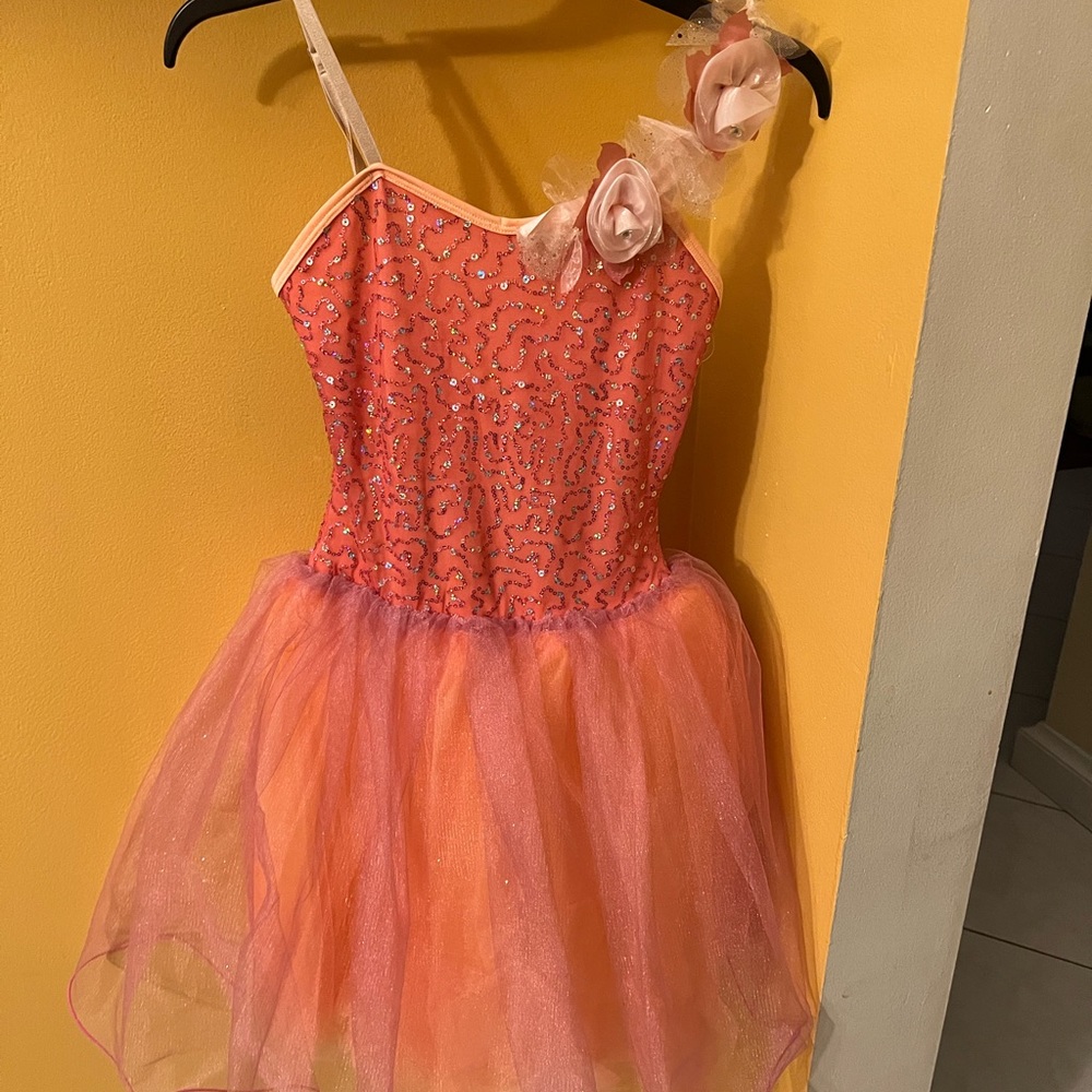Pink ballet tulle dress